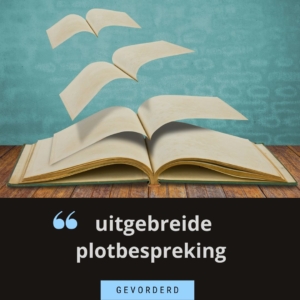 plotbespreking